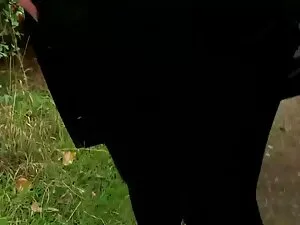 Le porno italiano mi ...
