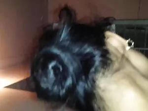 Zhenya è nudo free p ...