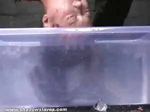 Bellissimo video ama ...
